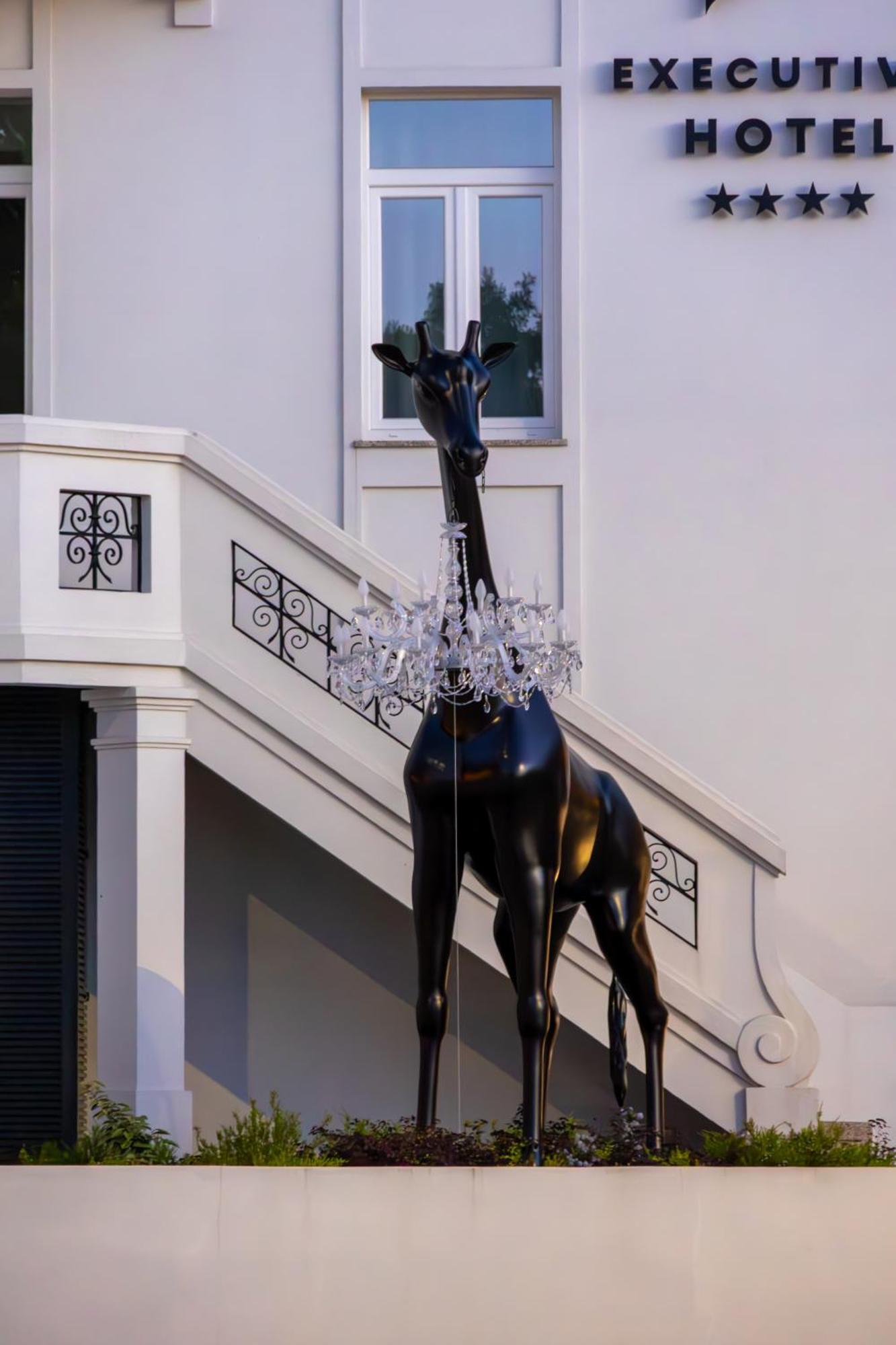 Viseu Executive Hotel 외부 사진